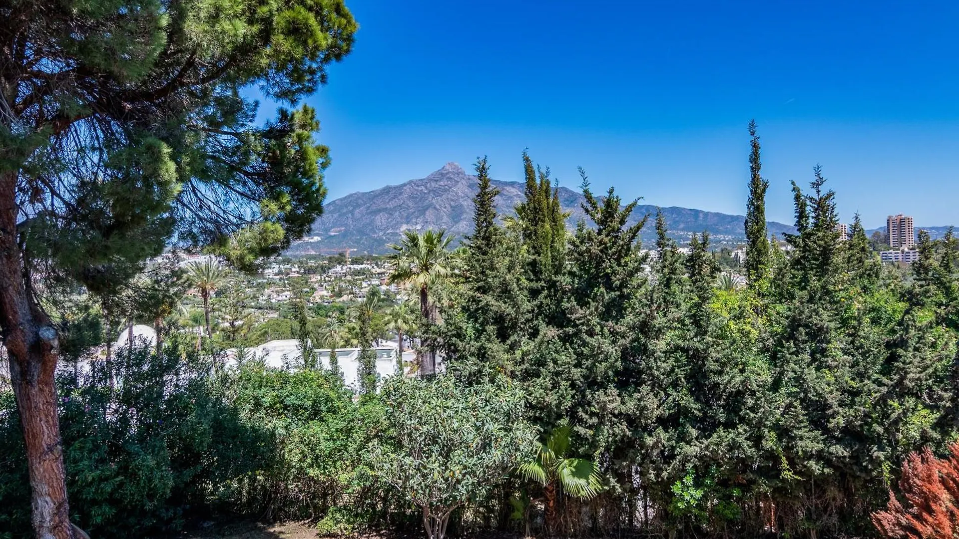 Villa Paradise Close To Puerto Banus Marbella